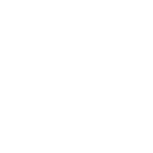 logo burger king Pixel maquette 3D