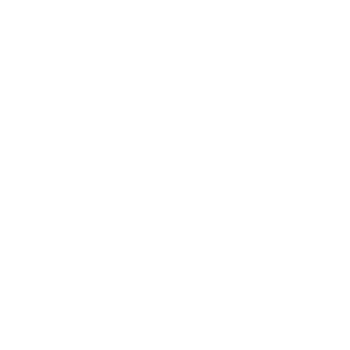 logo decathlon Pixel maquette 3D