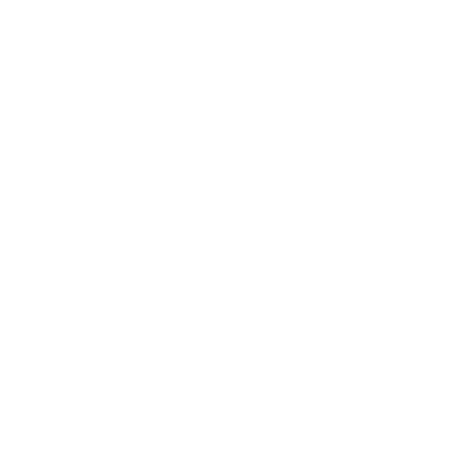 logo laorus Pixel maquette 3D