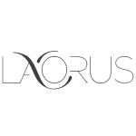 logo laorus Pixel maquette 3D pixel 4d gris-min